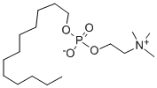 DODECYL PHOSPHOCHOLINE CAS#: 29557-51-5