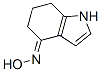 (E)-6,7-DIHYDRO-1H-INDOL-4(5H)-ONE OXIME CAS#: 27866-27-9