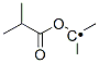 Ethyl, 1-methyl-1-(2-methyl-1-oxopropoxy)- (9CI) CAS#: 219939-50-1