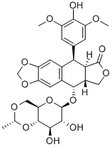 Etoposide CAS # : 33419-42-0