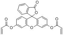 FLUORESCEIN O O'-DIMETHACRYLATE 95 CAS#: 206444-58-8