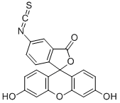 Fluoresceinisothiocyanat CAS-Nr .: 27072-45-3