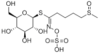 GLUCORAPHANIN CAS#: 21414-41-5