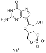 GUANOSINE-35-CYCLIC-MONOPHOSPHATE-SODIUM-SALT-CAS-40732-48-7