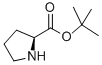 H-PRO-OTBU CAS#: 2812-46-6