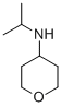 ISOPROPYL-(TETRAHYDRO-PYRAN-4-YL)-AMINE CAS#: 220642-10-4