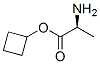 L-Alanine, cyclobutyl ester (9CI) CAS#: 261909-84-6