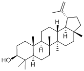 Lupeol CAS-Nr .: 545-47-1