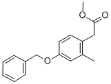 METHYL 2-METHYL-4-BENZYLOXY-PHENYLACETATE CAS#: 223406-97-1
