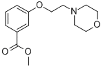 METHYL 3-(2-MORPHOLIN-4-YLETHOXY)BENZOATE CAS#: 249937-00-6