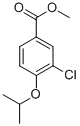 METHYL 3-CHLORO-4-ISOPROPOXYBENZOATE CAS#: 213598-06-2