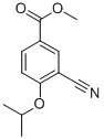 METHYL 3-CYANO-4-ISOPROPOXYBENZOATE CAS#: 213598-11-9