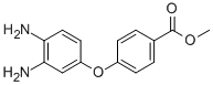 METHYL 4-(3,4-DIAMINOPHENOXY)BENZENECARBOXYLATE CAS#: 24002-80-0