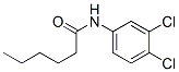 N-(3,4-dichlorophenyl)hexanamide CAS#: 2533-89-3