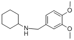 N-(3,4-dimethoxybenzyl)cyclohexanamine CAS#: 227017-88-1