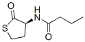 N-BUTYRYL-L-HOMOCYSTEINE THIOLACTONE CAS#: 202284-85-3