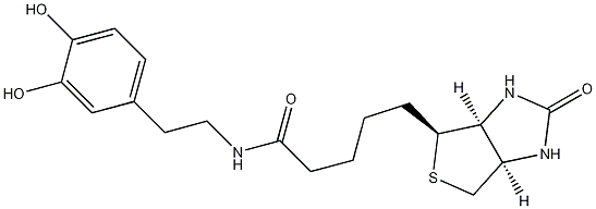 N-Biotinyl Dopamine CAS#: 241142-94-9