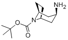 N-Boc-endo-3-aminotropane CAS#: 207405-68-3