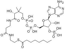 N-OCTANOYL COENZYME A (C8:0) CAS#: 1264-52-4