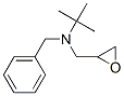 N-tert-butyl-N-(2,3-epoxypropyl)benzylamine CAS#: 28026-69-9