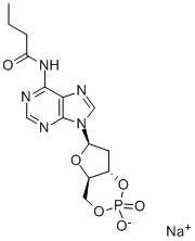N6-MONOBUTYRYL-2'-DEOXYADENOSINE 3':5'-CYCLIC MONOPHOSPHATE SODIUM SALT CAS#: 108347-96-2
