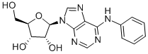 N6-PHENYLADENOSINE CAS#: 23589-16-4
