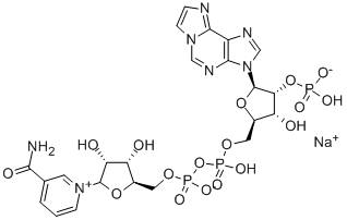 NICOTINAMIDE 1,N6-ETHENOADENINE*DINUCLEO TIDE PHOSPH CAS#: 104809-28-1