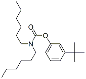 N,N-Dihexylcarbamic acid 3-tert-butylphenyl ester CAS#: 28460-14-2