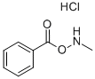 O-Benzoyl-N-methylhydroxylamine Hydrochloride CAS#: 27130-46-7