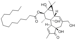 PHORBOL-12-MONOMYRISTATE CAS#: 20839-06-9