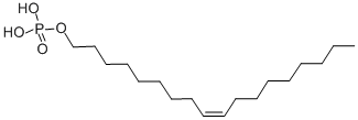 PHOSPHORIC ACID OLEYL ESTER CAS#: 24613-61-4