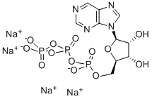 PURINE RIBOSIDE-5'-O-TRIPHOSPHATE SODIUM SALT CAS#: 23197-96-8