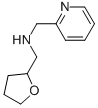 PYRIDIN-2-YLMETHYL-(TETRAHYDRO-FURAN-2-YLMETHYL)-AMINE CAS#: 202199-02-8