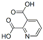 PYRIDINEDICARBOXYLIC ACID CAS#: 28605-84-7