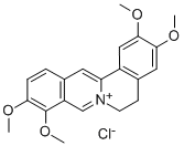 Cloreto de palmatina CAS #: 10605-02-4