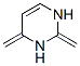 Pyrimidine, 1,2,3,4-tetrahydro-2,4-bis(methylene)- (9CI) CAS#: 208994-78-9