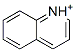 Quinolinium CAS#: 22559-70-2