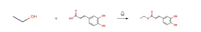 Route of Synthesis (ROS) of ETHYL CAFFEATE CAS# 102-37-4