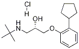 (S)-Penbutolol Hydrochloride CAS#: 28291-30-7