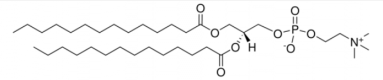 Structure of Dimyristoyl phosphatidylcholine CAS 18194-24-6