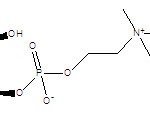 Structure of L-α-Glycerylphosphorylcholine CAS 28319-77-9