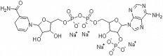 Structure of NADPH Tetrasodium salt CAS 2646-71-1