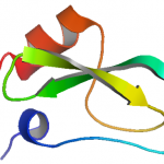 Estrutura do Inibidor de Tripsina de Soja Recombinante CAS 9035-81-8