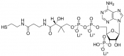 Structurer of Coenzyme A trilithium salt CAS 18439-24-2
