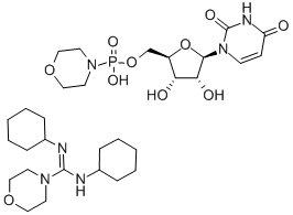 URIDINE 5'-MONOPHOSPHOMORPHOLIDATE 4-MORPHOLINE-N,N'-DICYCLOHEXYLCARBOXAMIDINE SALT CAS#: 24558-91-6