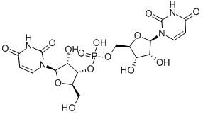 URIDYLYL-(3',5')-URIDINE CAS#: 2415-43-2