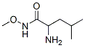 Valeramide, 2-amino-N-methoxy-4-methyl- (8CI) CAS#: 25739-89-3