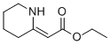 (Z)-ETHYL 2-(PIPERIDIN-2-YLIDENE)ACETATE CAS#: 25654-24-4