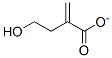 hydroxymethylmethacrylate CAS#: 21982-30-9