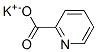 potassium pyridine-2-carboxylate CAS#: 25108-36-5
